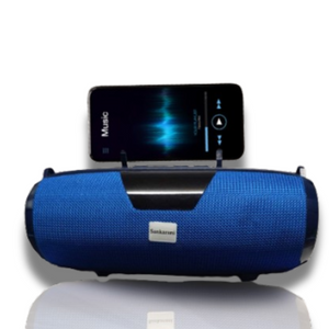 Haut-parleur Bluetooth portable